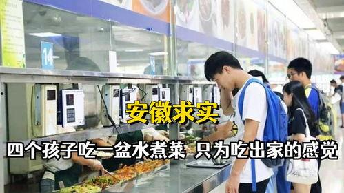 家长爆料食堂视频播放大全,食堂视频大全揭露校园饮食真相  第3张
